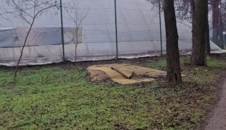 Prijava divlje deponije u parku Dudova šuma