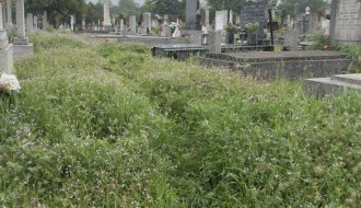 Zarasle zelene površine na Kerskom i Bajskom groblju