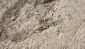 Više putnih problema u MZ Peščara