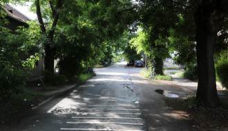 Saobraćajni znakovi STOP i pešački prelaz u Prvomajskoj zaklonjeni rastinjem