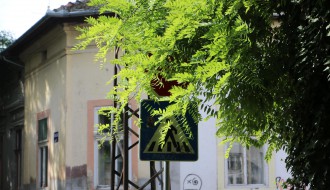 Saobraćajni znakovi STOP i pešački prelaz u Prvomajskoj zaklonjeni rastinjem