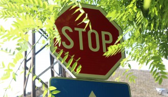 Saobraćajni znakovi STOP i pešački prelaz u Prvomajskoj zaklonjeni rastinjem
