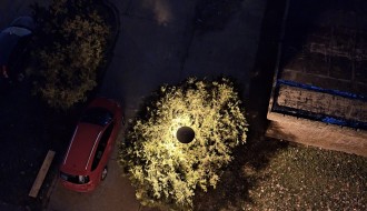 Čempres zakljanja osvetljenje ispred broja 31 u Ulici Sekereš Lasla