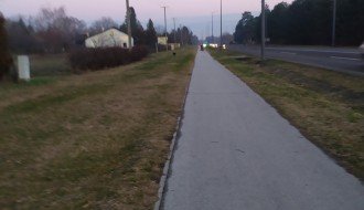 Svakodnevni napadi pasa na Palićkom putu