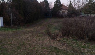 Svakodnevni napadi pasa na Palićkom putu