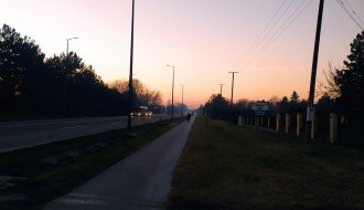 Svakodnevni napadi pasa na Palićkom putu