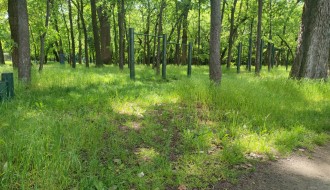 Kad Dudova šuma preraste u prašumu, a boćanje postane ekstremni sport