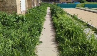 Kad Dudova šuma preraste u prašumu, a boćanje postane ekstremni sport