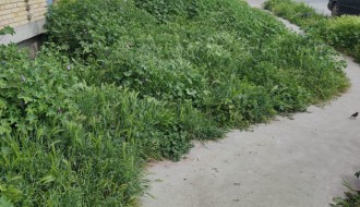 Kad Dudova šuma preraste u prašumu, a boćanje postane ekstremni sport