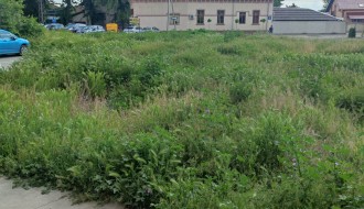 Kad Dudova šuma preraste u prašumu, a boćanje postane ekstremni sport