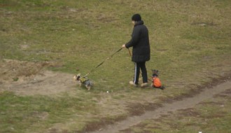 Dečje igralište ili šetalište za domaće ljubimce?