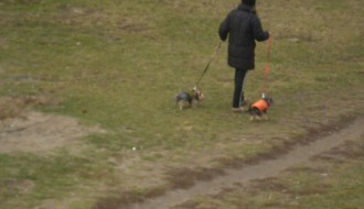 Dečje igralište ili šetalište za domaće ljubimce?