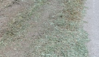 Nestručno i aljkavo održavanje zelenih površina