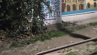 Užasna buka iz razvodnog ormara