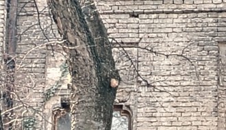 Opasnost od pada lima sa krova kuće na početku Ulice Đure Đakovića