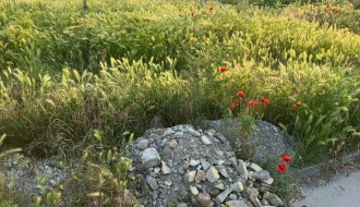 Zabrinutost građana zbog stvaranja divljih deponija