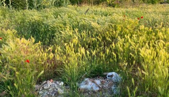 Zabrinutost građana zbog stvaranja divljih deponija