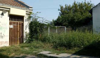 Leglo Ambrozije blizu Ambulante 5