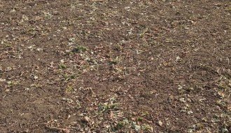 Stočari nomadi uništavaju poljoprivredne useve