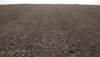 Stočari nomadi uništavaju poljoprivredne useve