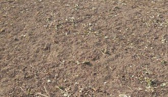 Stočari nomadi uništavaju poljoprivredne useve