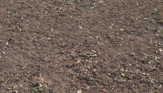 Stočari nomadi uništavaju poljoprivredne useve