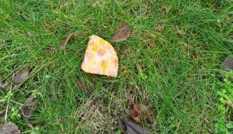 Bačen otrov na Radijalcu