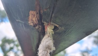 Veliko igraliste Palić- Ljuljaška za povredu u najavi