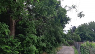 Grana koja ugrožava bezbednost građana!