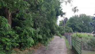 Grana koja ugrožava bezbednost građana!