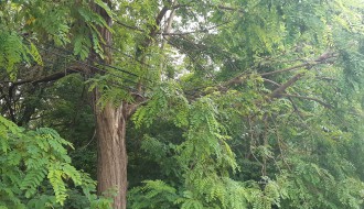 Grana koja ugrožava bezbednost građana!