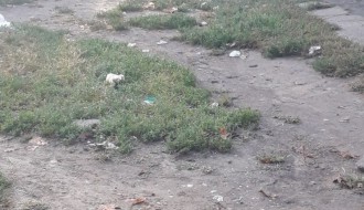 Neuredan parking na Paliću