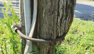 Opasnost od pada ulicne bandere