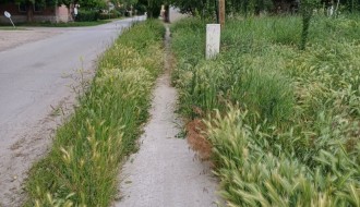 Zarasle javne površine u MZ Novi grad