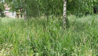 Zarasle javne površine u MZ Novi grad