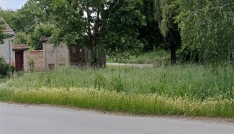 Zarasle javne površine u MZ Novi grad