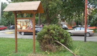 Ugroženo drvo na Radijalcu