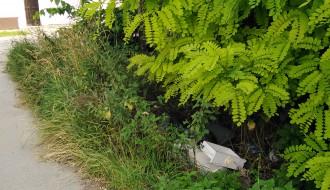 Mini deponija  centar 2