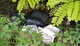 Mini deponija  centar 2