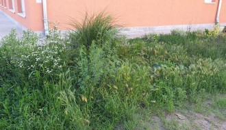 Kireška ulica - nove zgrade bez asfalta