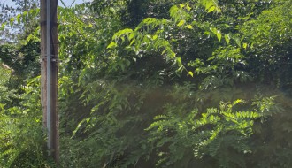 Neprohodni trotoar za pešake u prometnoj ulici!!