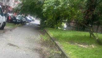 Granje koje smeta na semaforu tj. raskršću