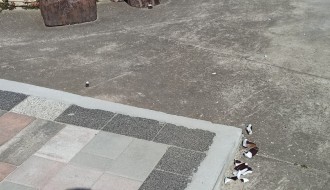 Opasna trafostanica na uglu Majsanskog puta i ulice Imrea Bera