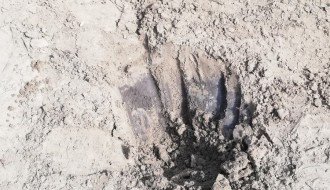 Dosuti pesak u peskarnik na dečjem igralištu u Dudovoj šumi