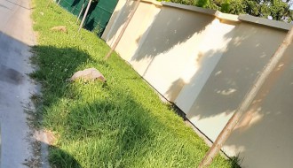 Mimoilaženje automobila?