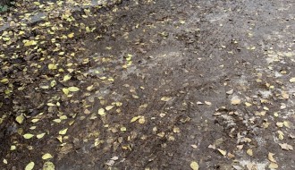 Blato od neočišćenog lišća u Ulici Ivana Gorana Kovačića