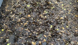 Blato od neočišćenog lišća u Ulici Ivana Gorana Kovačića