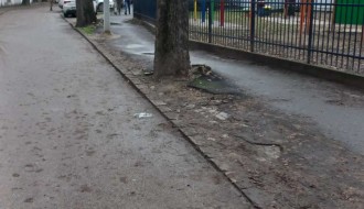 Blato od neočišćenog lišća u Ulici Ivana Gorana Kovačića