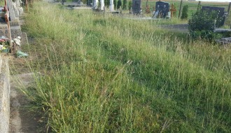 Užasno stanje Mišićanskog groblja