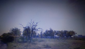 (Nedozvoljena) seča drveća